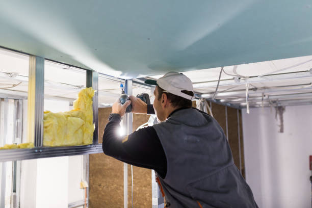 Types of Insulation We Offer in Lemay, MO