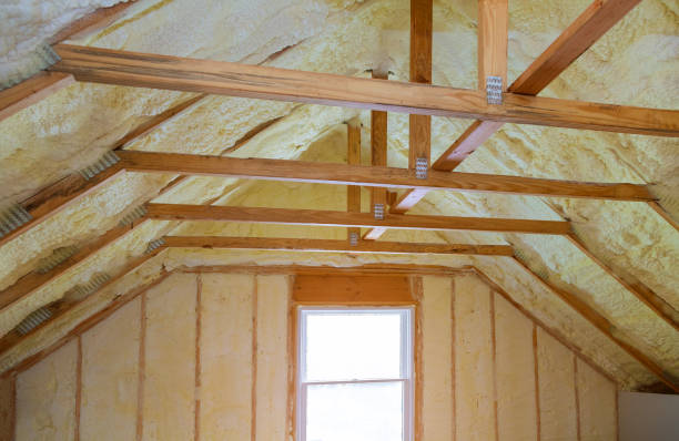 Best Blown-in Insulation in Lemay, MO