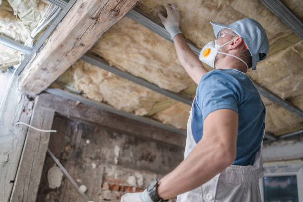 Best Commercial Insulation in Lemay, MO