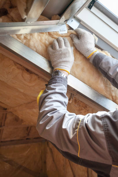 Best Insulation for Specific Applications in Lemay, MO