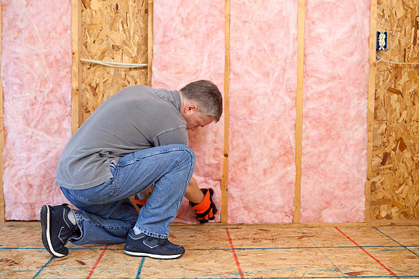 Best Spray Foam Insulation in Lemay, MO