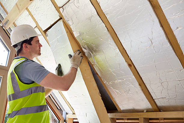Best Residential Insulation in Lemay, MO