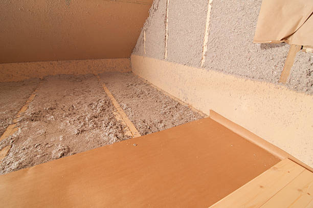 Best Energy Efficiency Insulation in Lemay, MO
